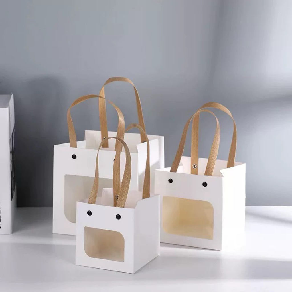 Túi ô cửa sổ đựng cây cảnh mini