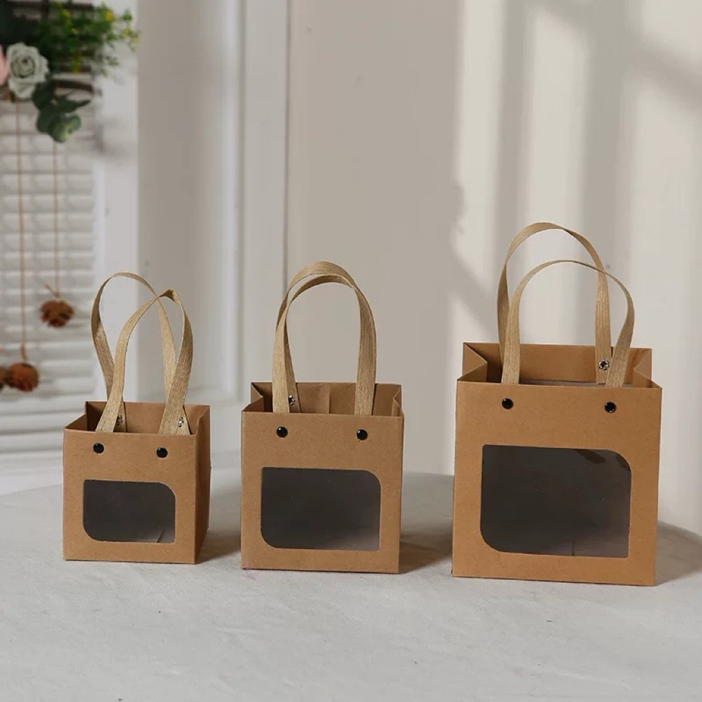 Túi ô cửa sổ đựng cây cảnh mini