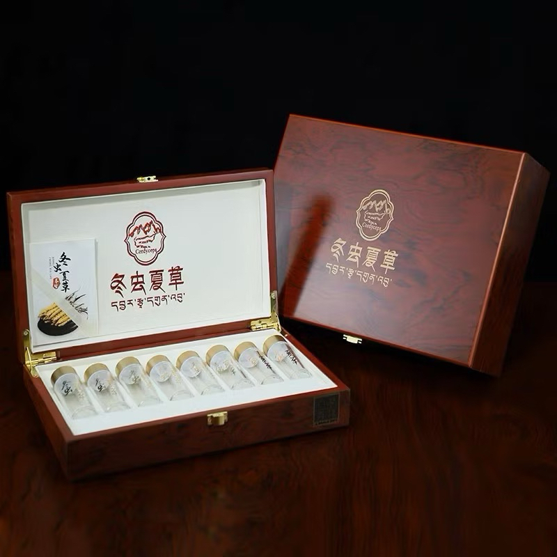 Vỏ hộp đựng đông trùng hạ thảo nguyên con