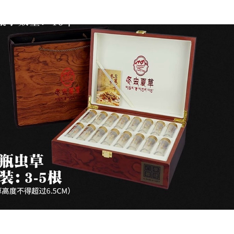 Vỏ hộp đựng đông trùng hạ thảo nguyên con